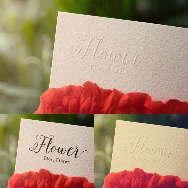 Free Realistic Logo Presentation Psd – DreamBundles