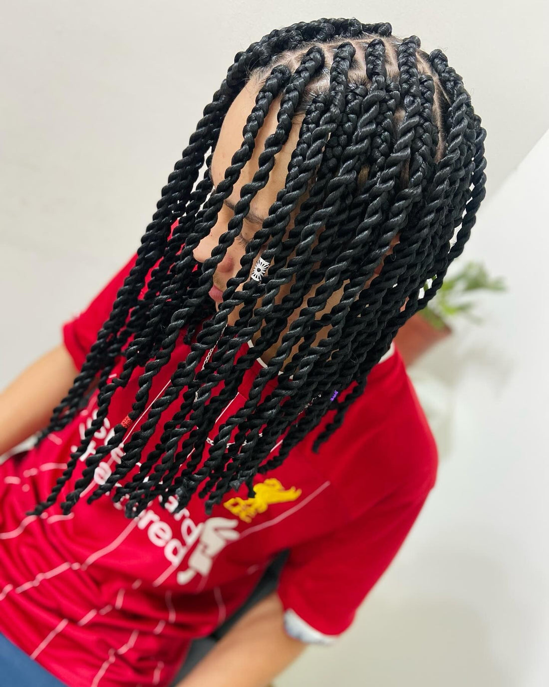 15 Best Twist Braid Hairstyles for 2026
