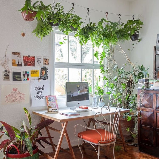 15 Best Office Ideas with Plants for 2026