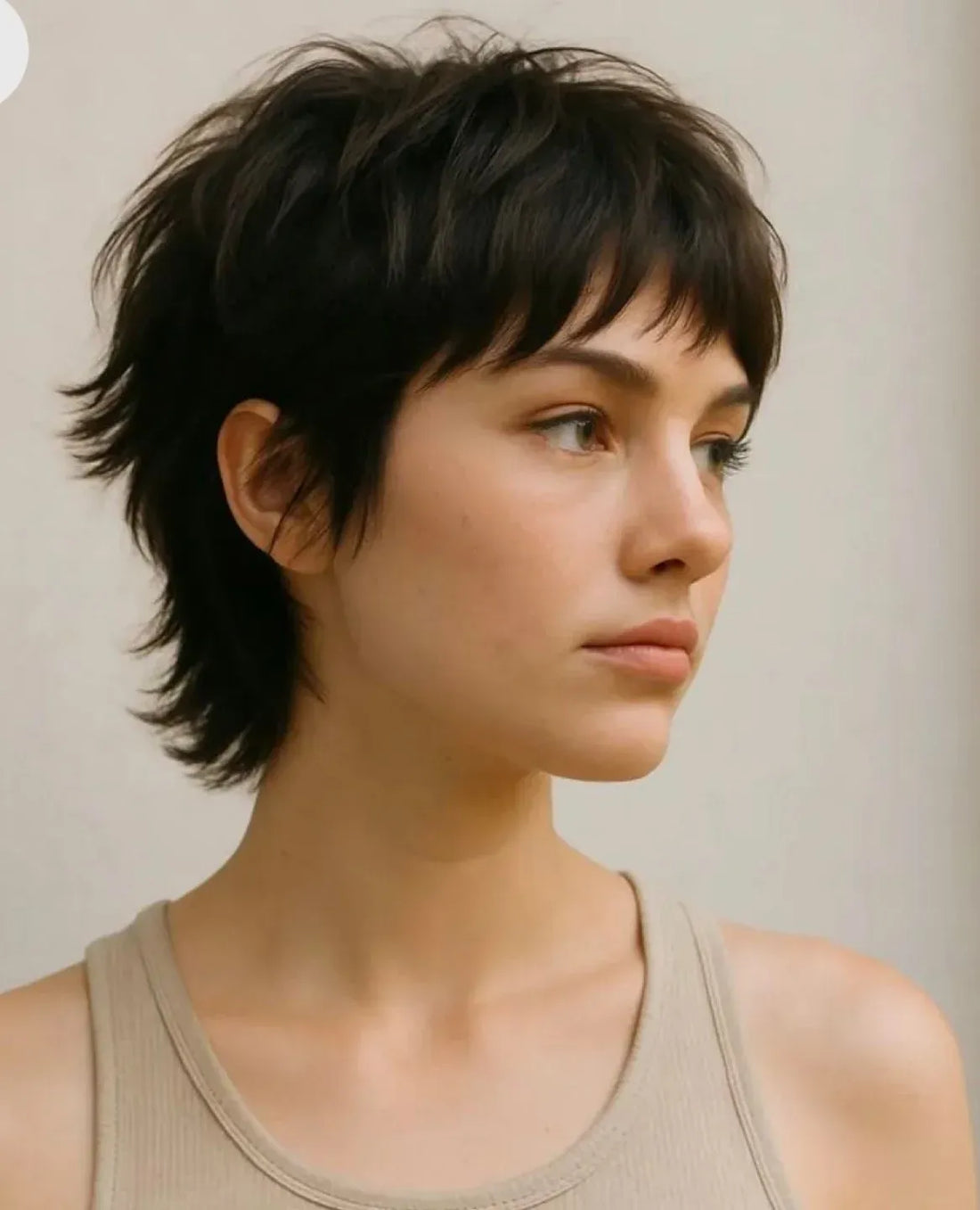 15 Must-Try Wispy Pixie Cuts 2026