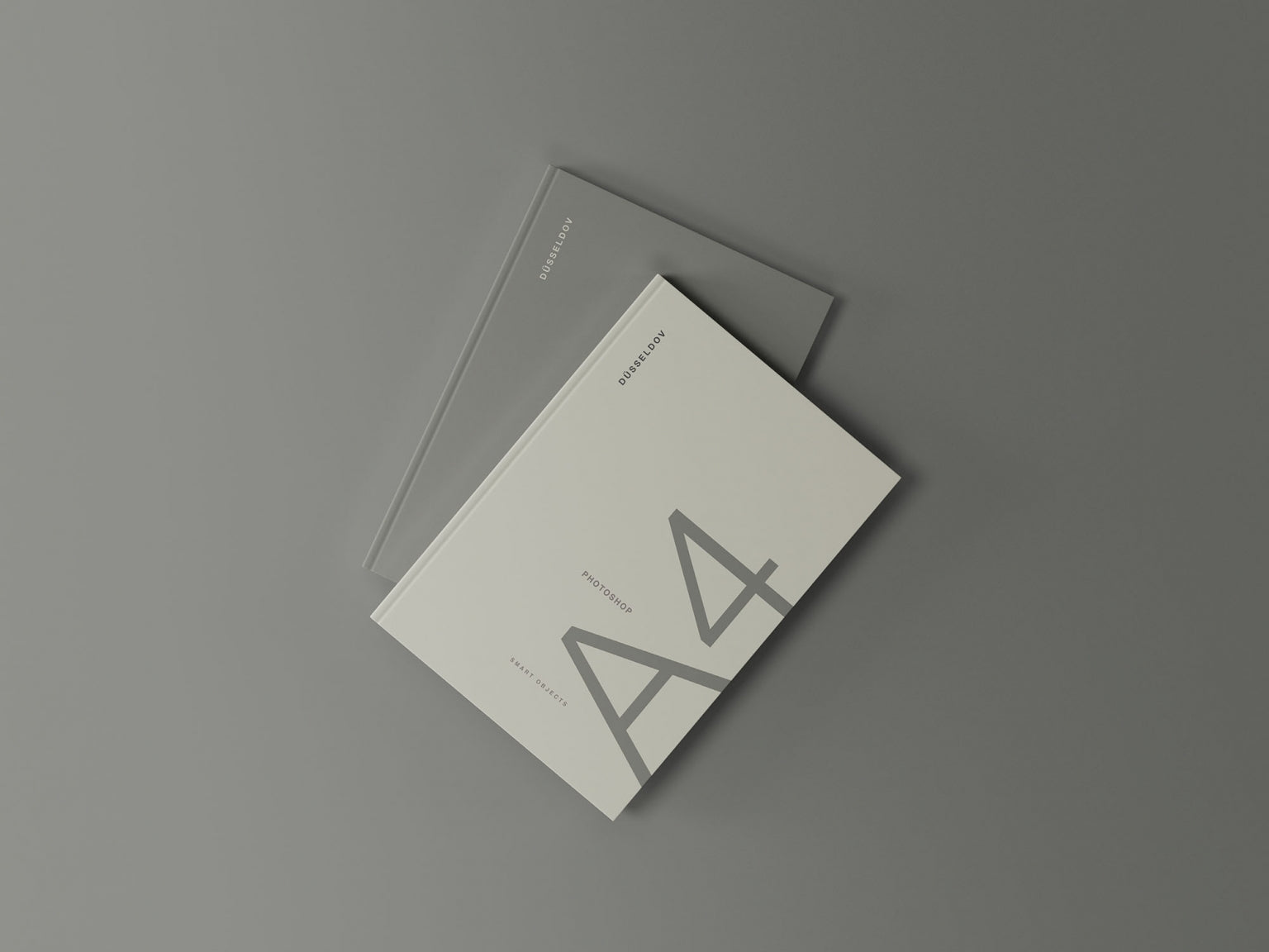 Free 2 Hardcover Books Mockup