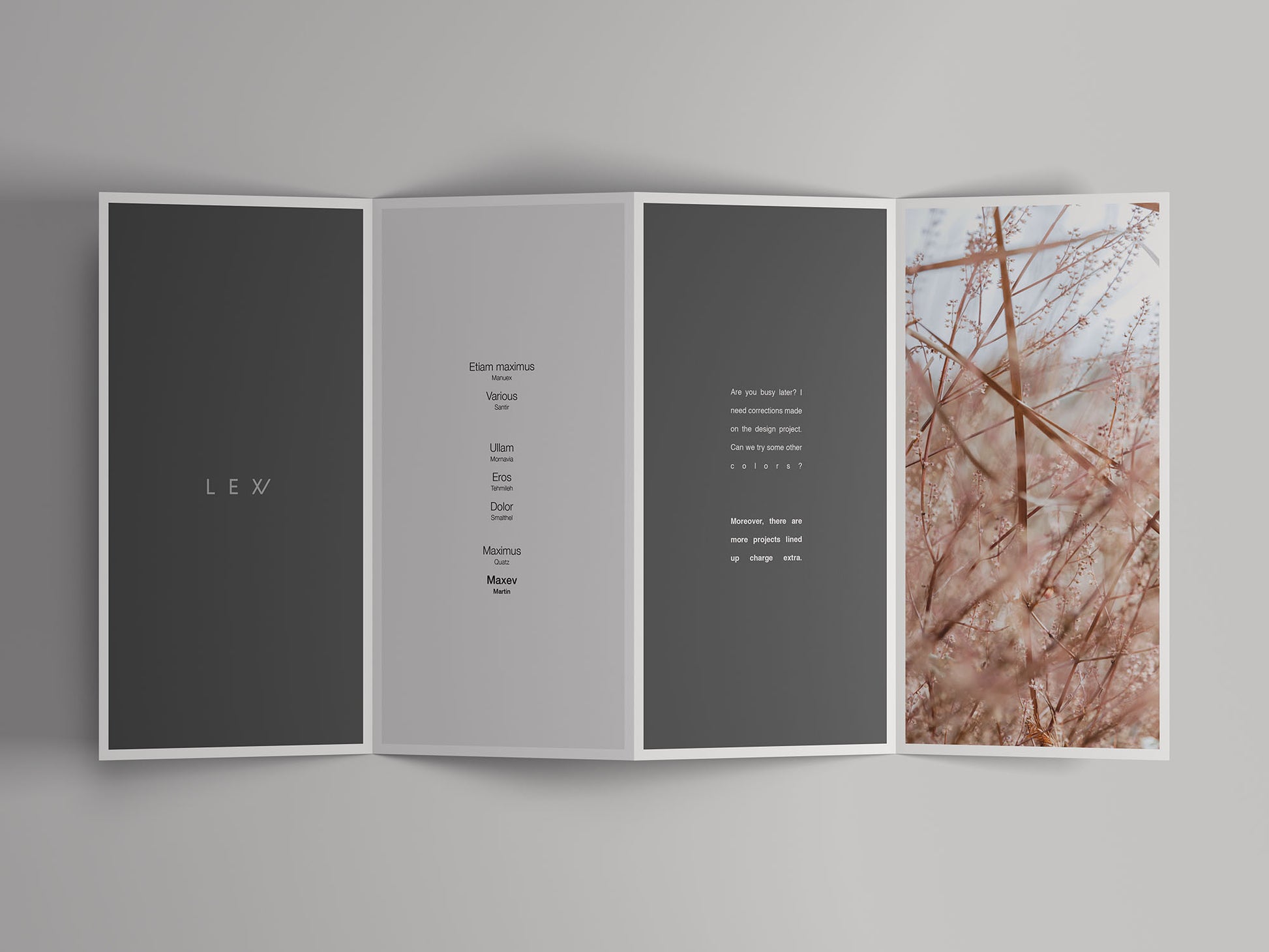 Free 4-Fold Open Brochure Mockup