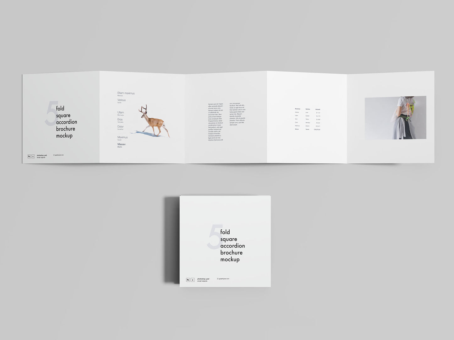 Free 5 Fold Square Accordion Brochure Mockup