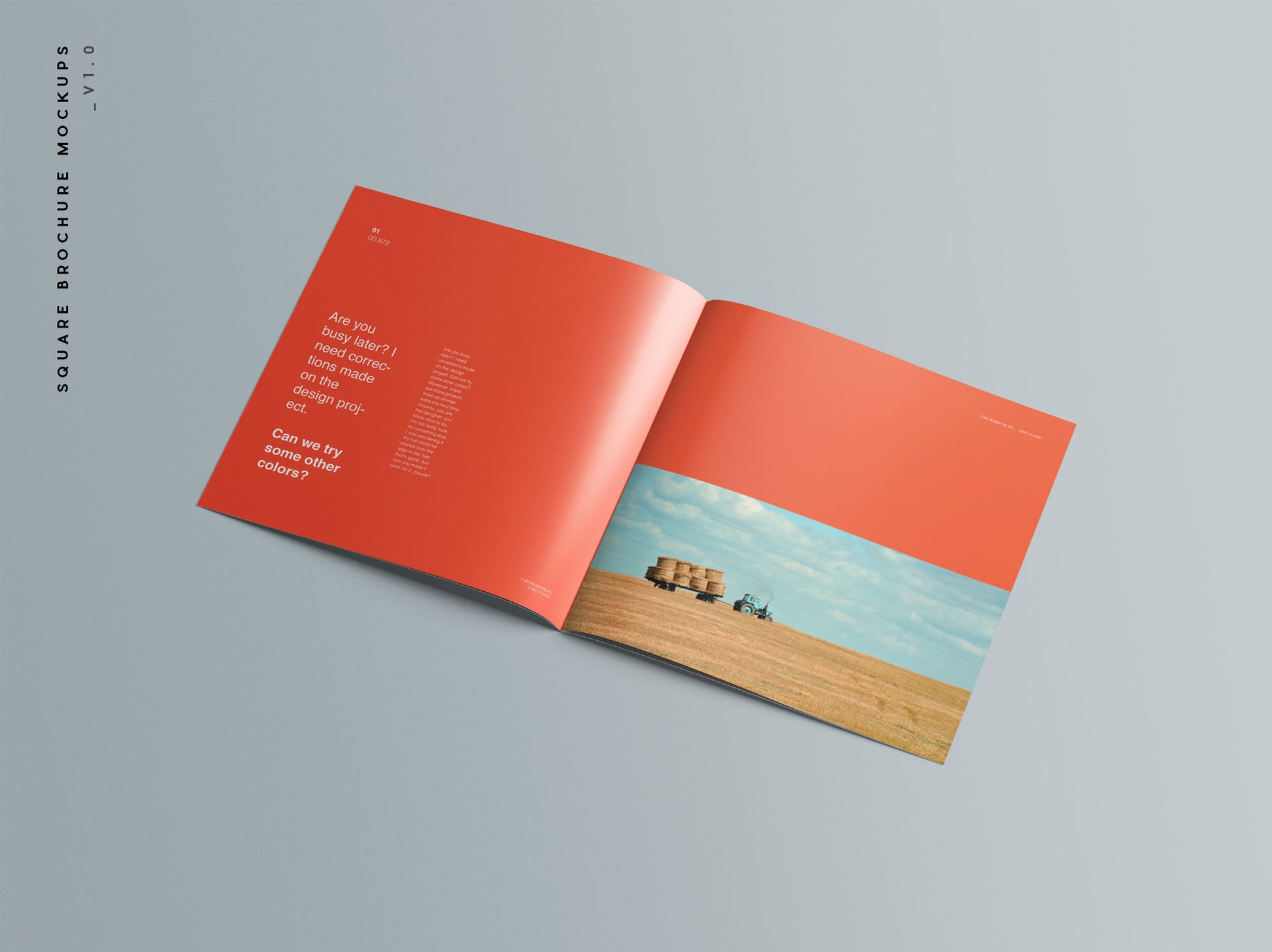 Free 9 Square Brochure Mockups