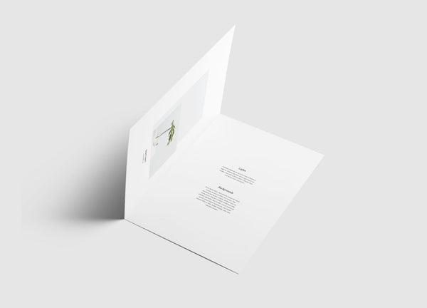 Free A4 Bifold Brochure Mockup