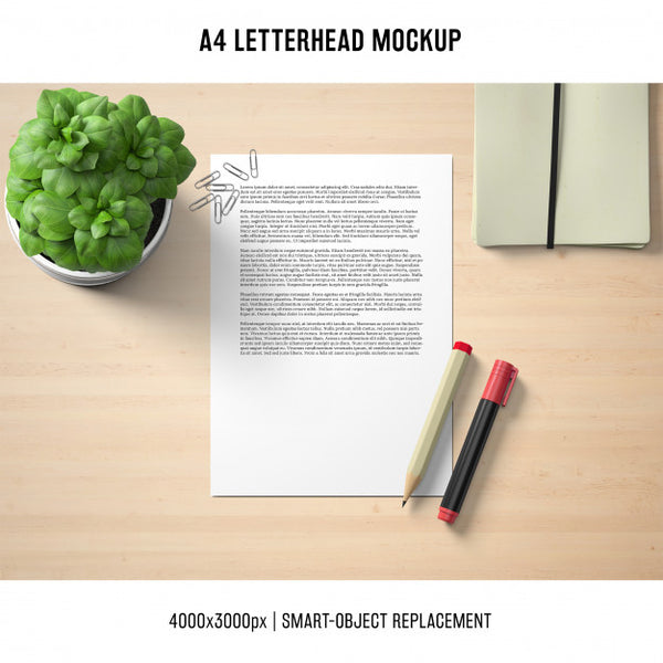 Free A4 Letterhead Mockup With Basil Psd