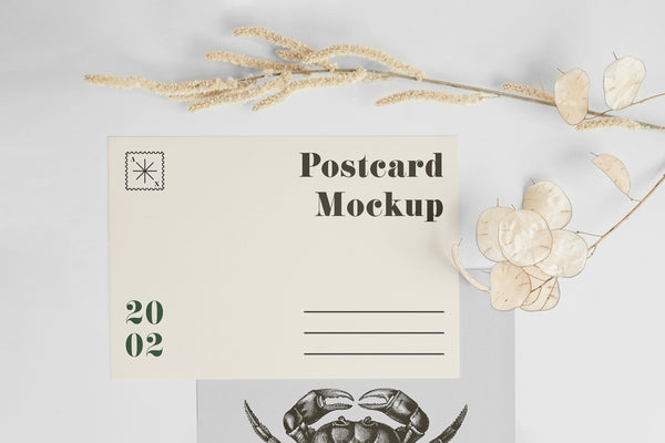 Free A5 Postcard With Envelope Mockup