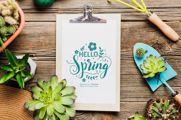 Free Above View Gardening Tools On Wooden Table Psd