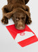 Free Adorable Labrador Retriever Sleeping On Top Of A Love Letter Mockup Psd