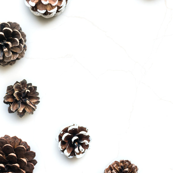 Free Blank Space With Pine Cones Mockup