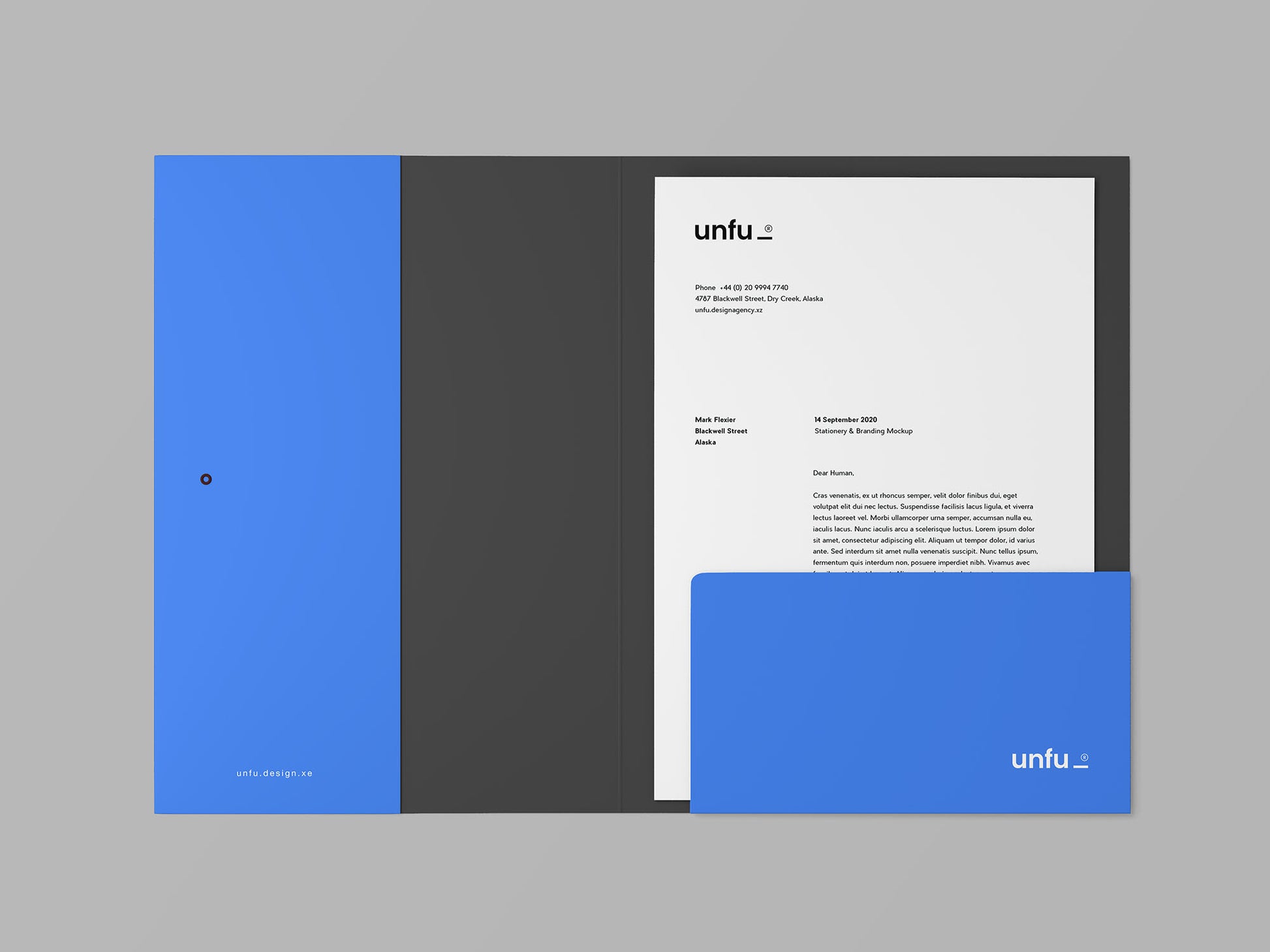 Free Branding Folder Mockup
