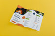 Free Brochure Concept Mock-Up Psd
