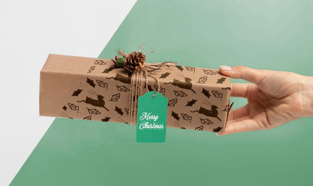 Free Close-Up Hand Holding Present Psd