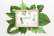Free Decorative Frame Concept Mock-Up Psd
