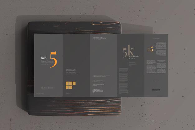 Free Dl Size Five Fold Brochure Mockup Psd