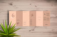 Free Dl Size Six Fold Brochure Mockup Psd