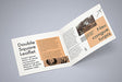 Free Double Square Leaflet Mockup