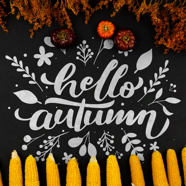 Free Flat Lay Autumnal Frame On Black Background Psd