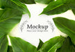 Free Flat Lay Green Leaves Assortment With Mock-Up Psd