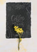 Free Flower On Blackboard Psd