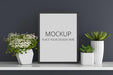 Free Flowers And Succulent Pots With Frame Mockup Psd