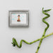 Free Frame And Bamboo Sticks Psd