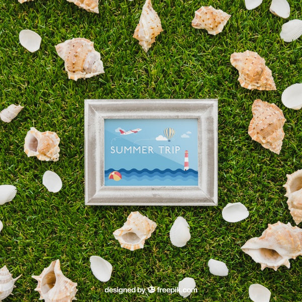 Free Frame And Shells On Grass Psd