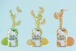 Free Front View Fruit Soda Cans Psd