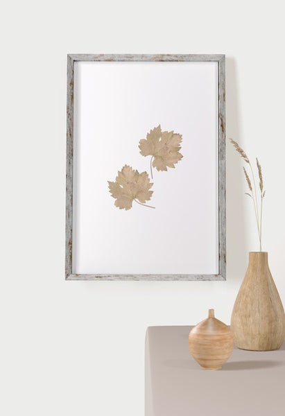 Free Front View Of Frame With Leaves On Wall And Vases Psd