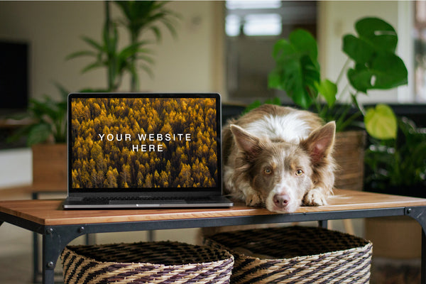 Free Macbook With Dog Mockup