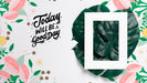 Free Message On Paper Sheet With Realistic Leaf Psd