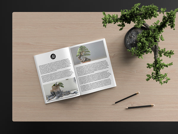 Free Modern Catalog Magazine Mockup