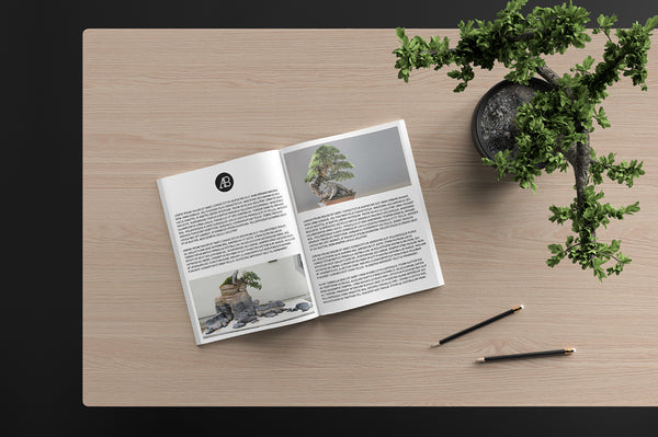 Free Modern Catalog Magazine Mockup