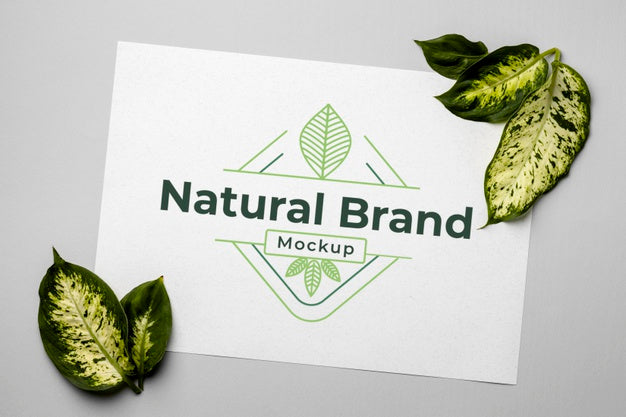 Free Natural Brand Mock-Up With Leaves Psd