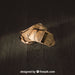 Free Old Paper Mockup With Adventure Concept Psd
