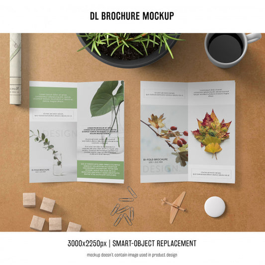 Free Portrait Dl Brochure Mockup Psd
