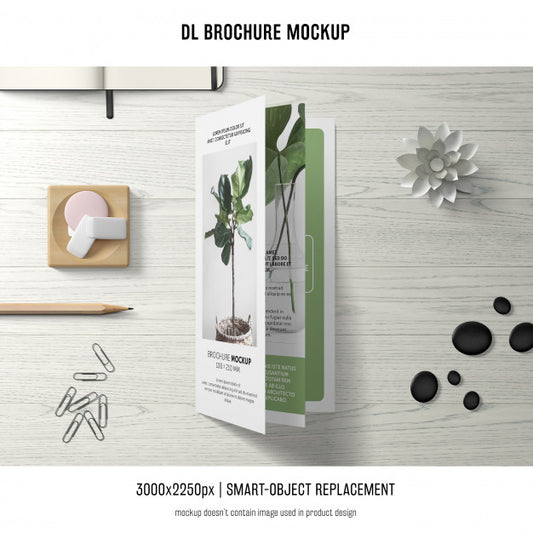 Free Portrait Dl Brochure Mockup Psd