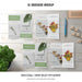 Free Portrait Dl Brochure Mockup Psd