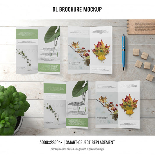 Free Portrait Dl Brochure Mockup Psd