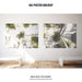Free Poster Mockup Psd