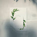 Free Ready To Use Poster Mockup With A Leaf Psd