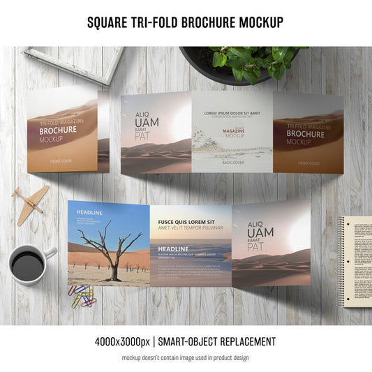 Free Square Tri-Fold Brochure Mockup Psd