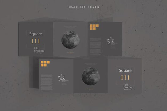 Free Square Tri Fold Brochure Mockup Psd
