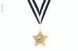 Free Star Competition Medal With Ribbon Mockup, Hanging Psd