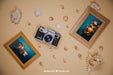 Free Summer Concept With Frames And Camera Psd