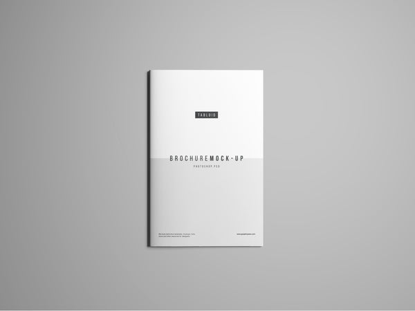 Free Tabloid Brochure Mockup