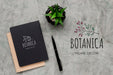 Free Top View Botanic Home Decor Concept Psd