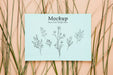 Free Top View Leaves Arrangement Psd