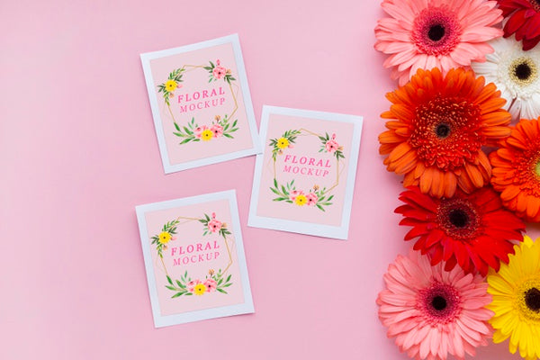 Free Top View Of Cards Mock-Up With Daisies Psd