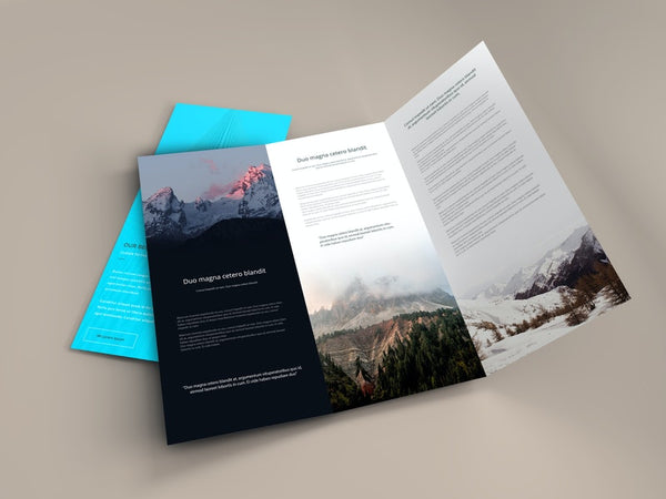 Free Trifold Brochure Psd Mockup